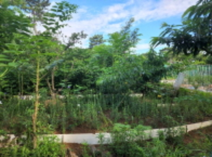 2022타경105247[5]