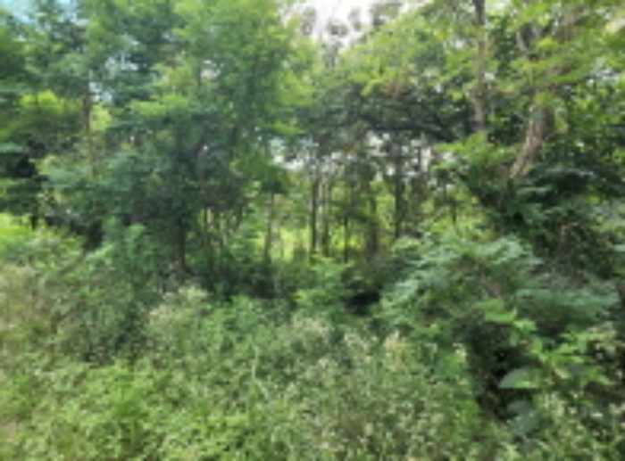 2022타경105247[5]