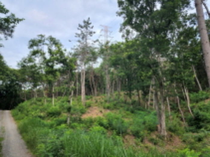 2022타경105247[5]