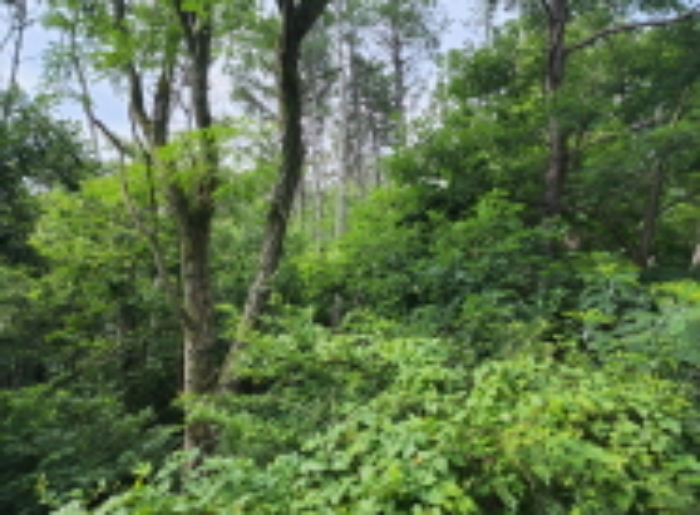 2022타경105247[5]