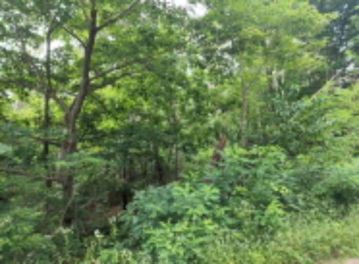 2022타경105247[5]