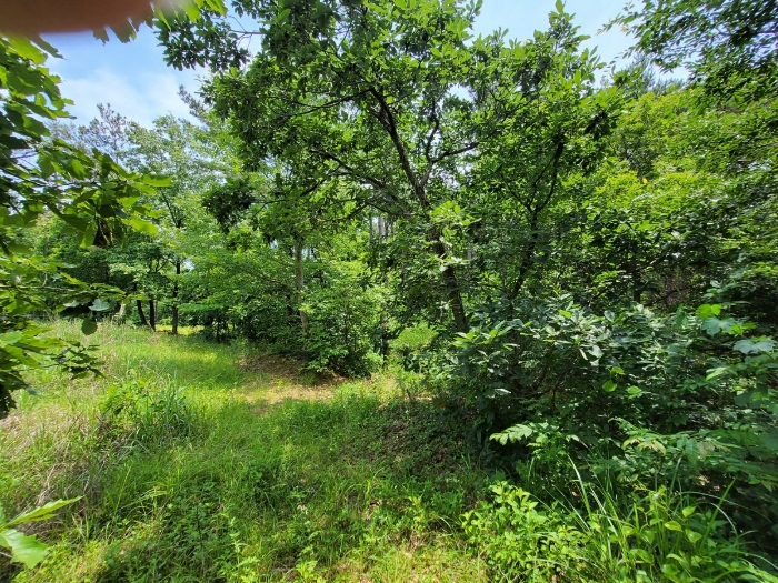 2022타경105247[5]