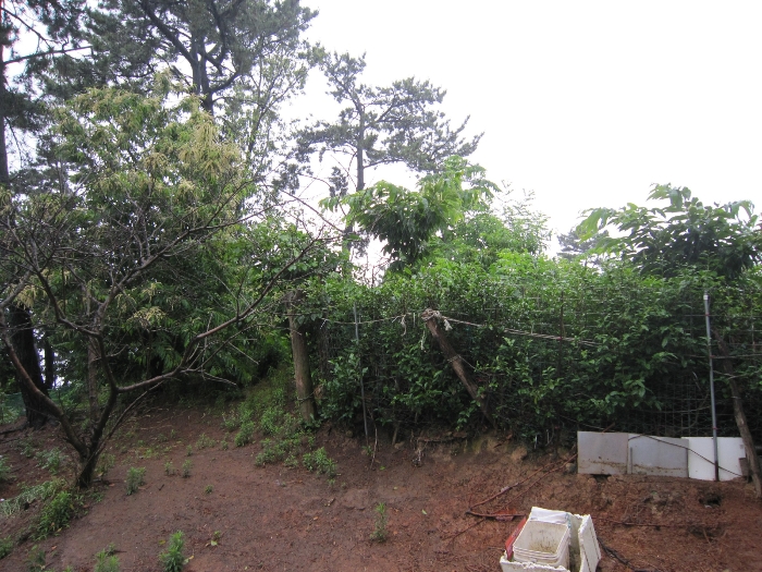 2022타경105247[5]