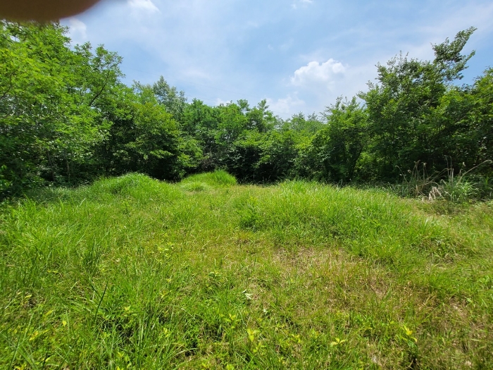 2022타경105247[5]
