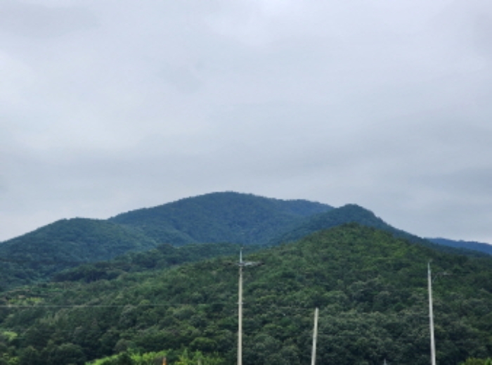 2023타경109512[8]