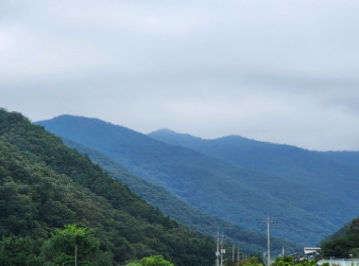 2023타경109512[8]