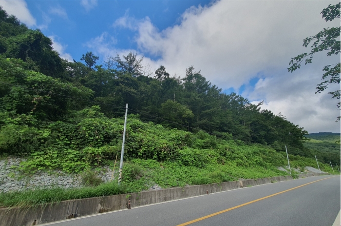 2023타경109512[8]