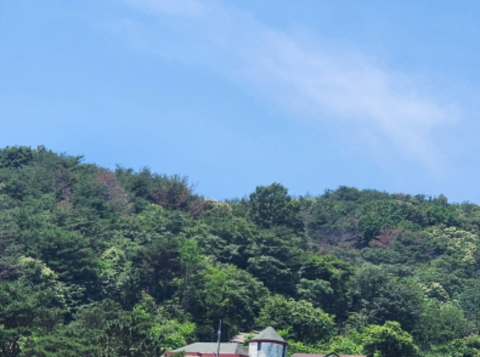 2024타경4805