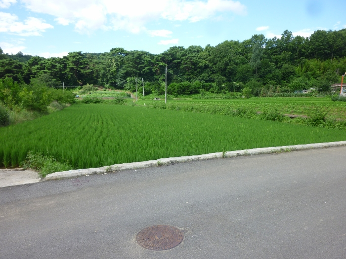 2024타경5785