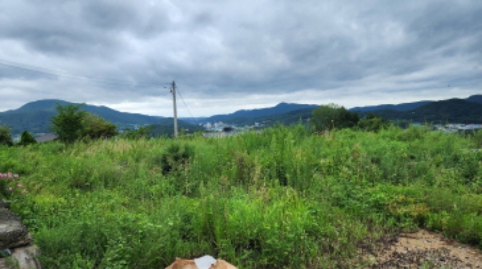 부동산의 표시 2.