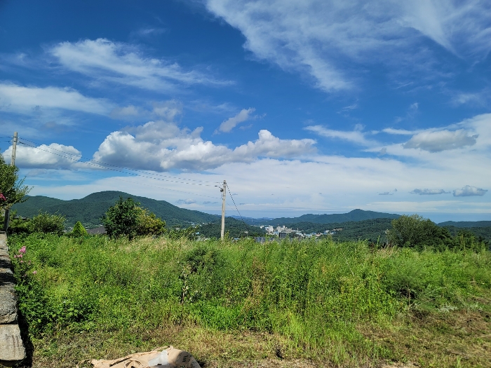 본건(2) 전경