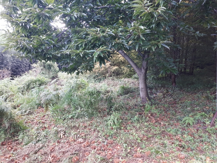 본건1 전경