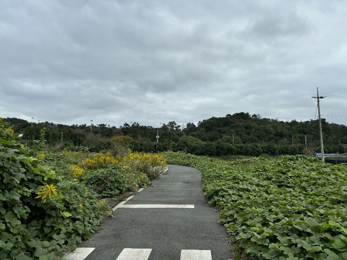 일련번호(1)