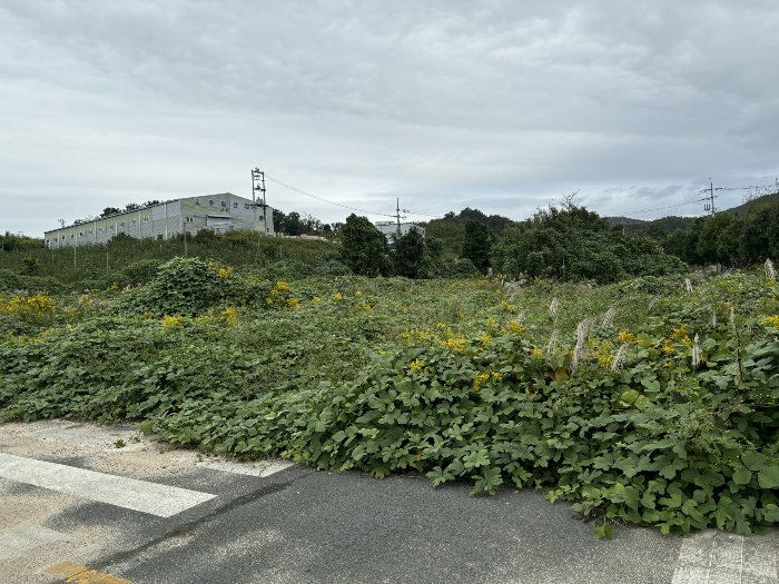 일련번호(2)