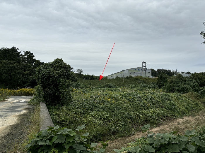 일련번호(2)