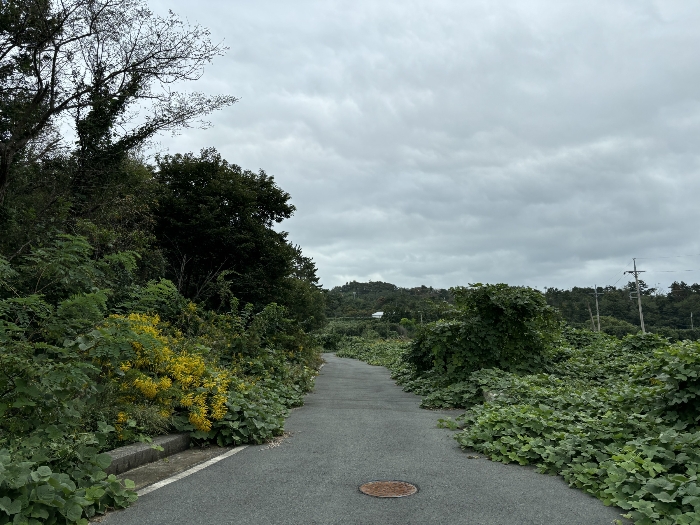 일련번호(4)