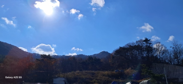 본건 일련번호(1, 2) 전경