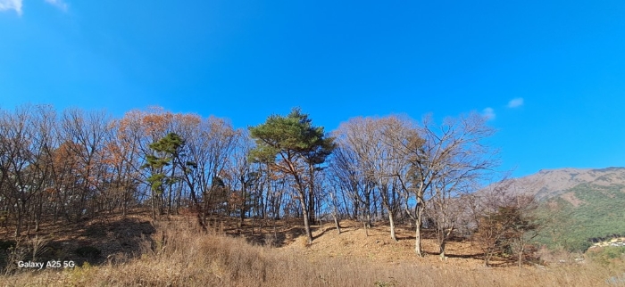 본건 일련번호(1) 전경