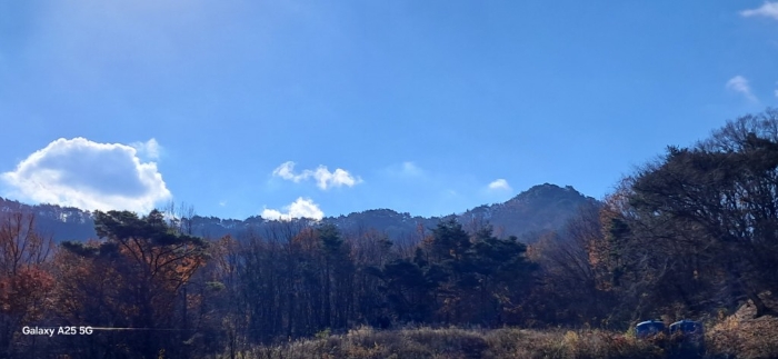 본건 일련번호(2) 전경