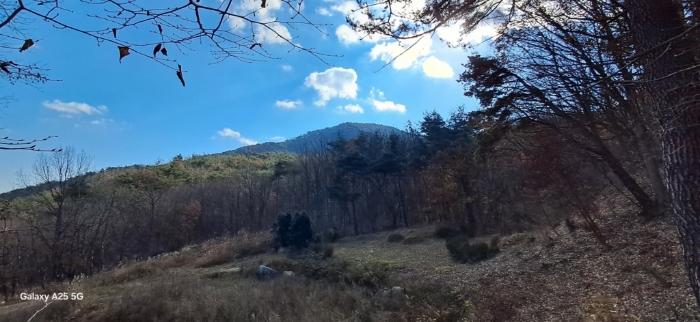 본건 일련번호(2) 전경
