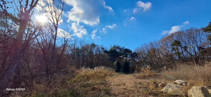 본건 일련번호(2) 전경