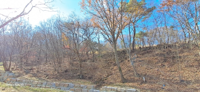 본건 일련번호(2) 전경