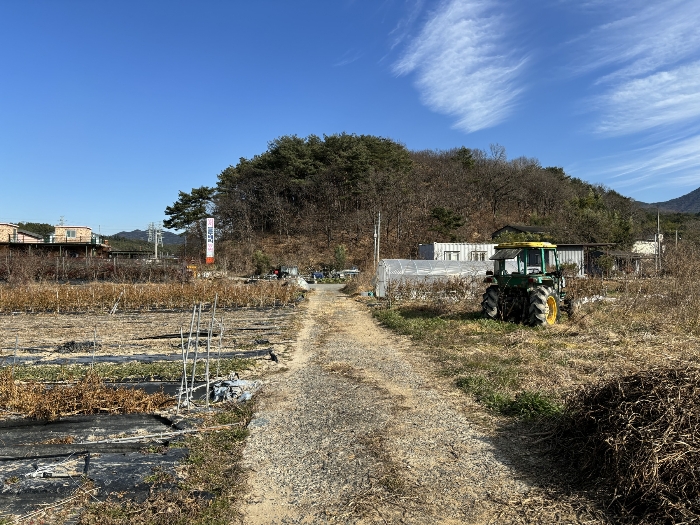본건 북서측 도로