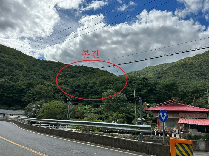 본건 원경