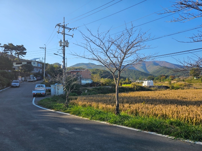 본건전경