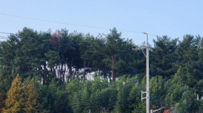 2024타경118049
