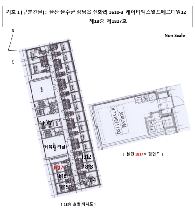 건 물 개 황 도