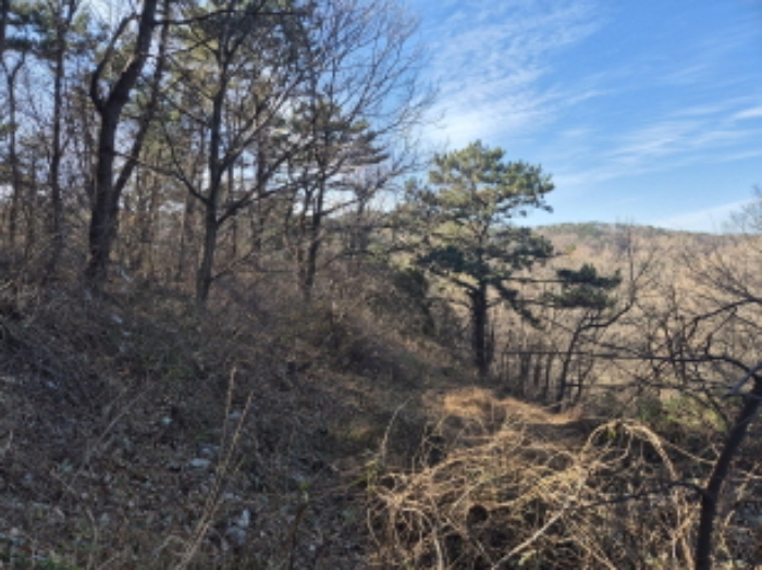 부동산의표시1.
