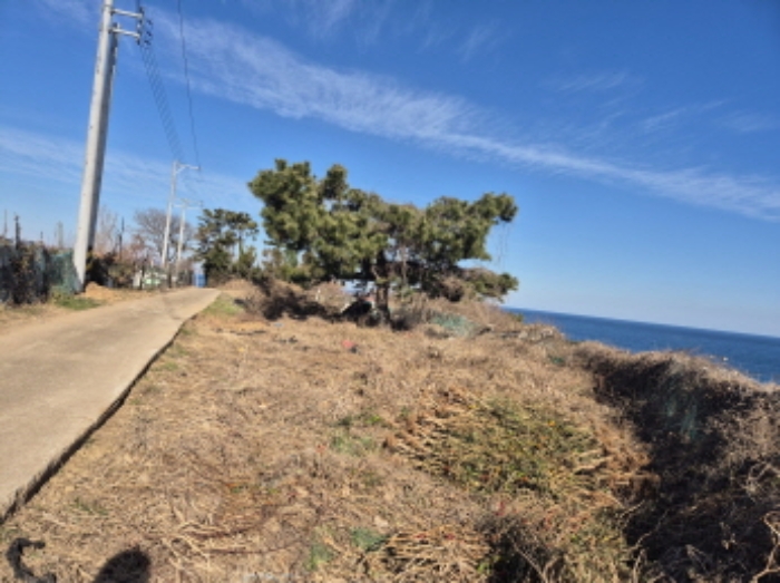 부동산의표시2.