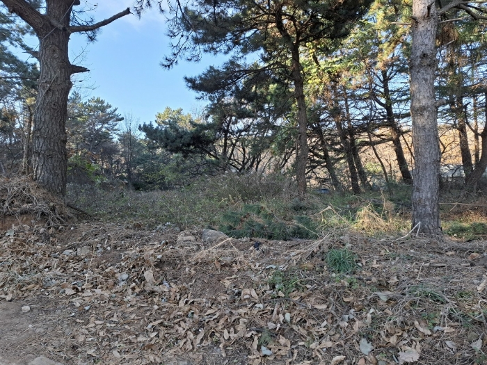 기호 1 토지 전경