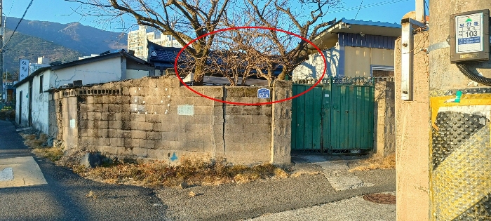 제시외수목 일부(남동측에서 촬영)