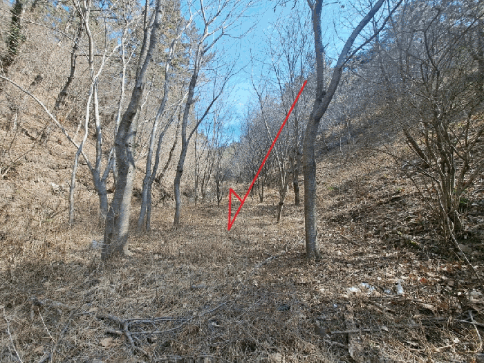 토지(3) 전경