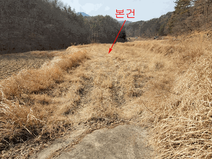 본건전경(북동측에서 촬영)