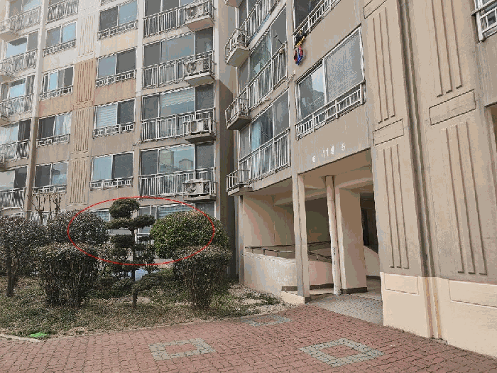 본건 전경