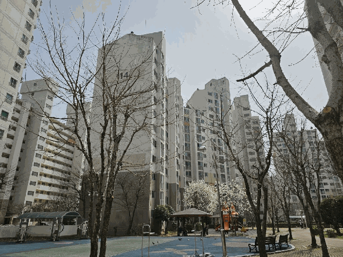 본건 전경