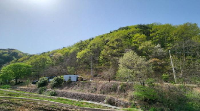 부동산의 표시 1.
