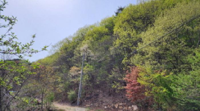부동산의 표시 1.