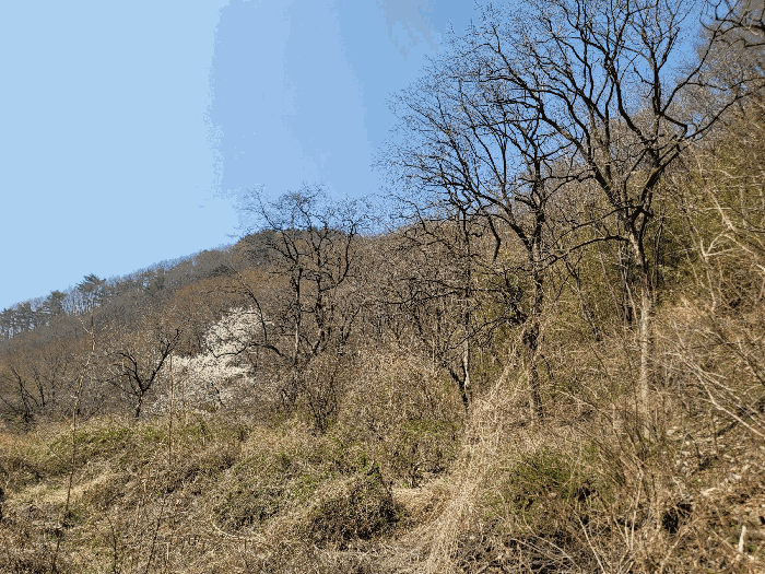 본건(2) 전경