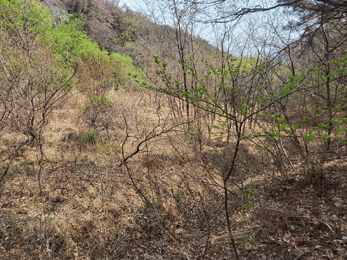 본건전경(서측에서 촬영)