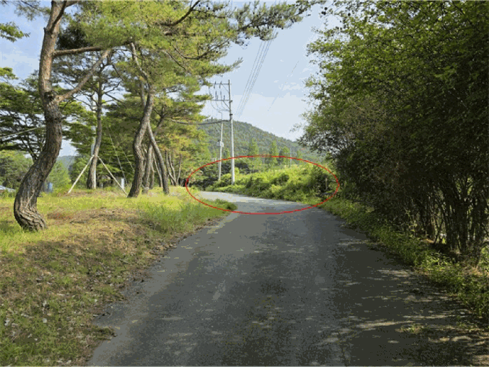 본건 및 주위(남측에서 북측 방향)