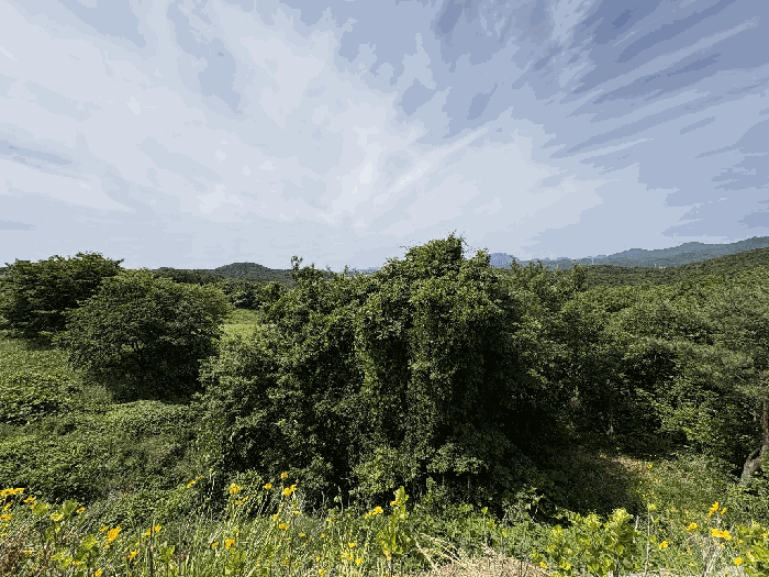 일련번호 2~3
