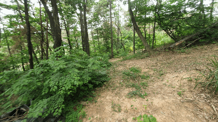 본건 기호(2) 전경