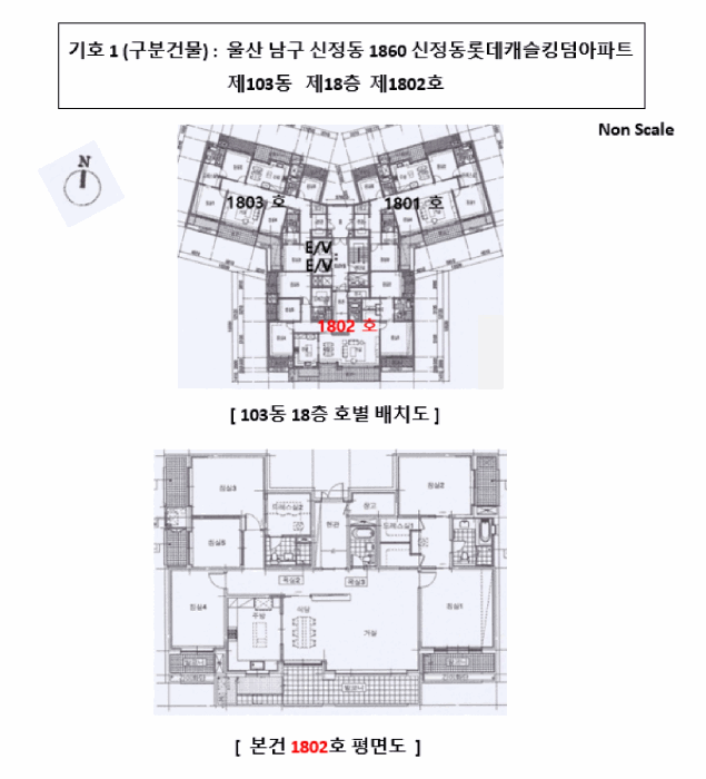 건 물 개 황 도