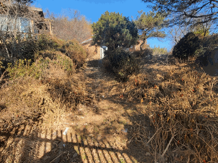 기호(1)전경(남서측에서 촬영)