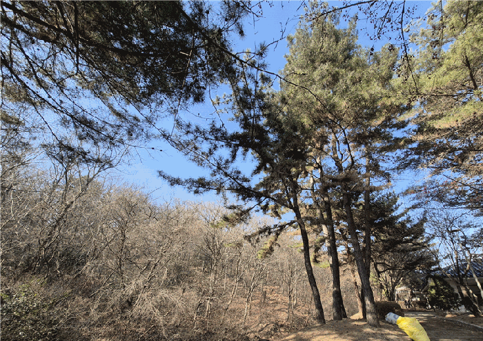 본건 전경