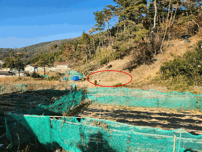 기호2 토지 묘지부분
